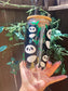 Beer Can Glass With Bamboo Lid |Panda Bear Glass Can| Alicee Creations